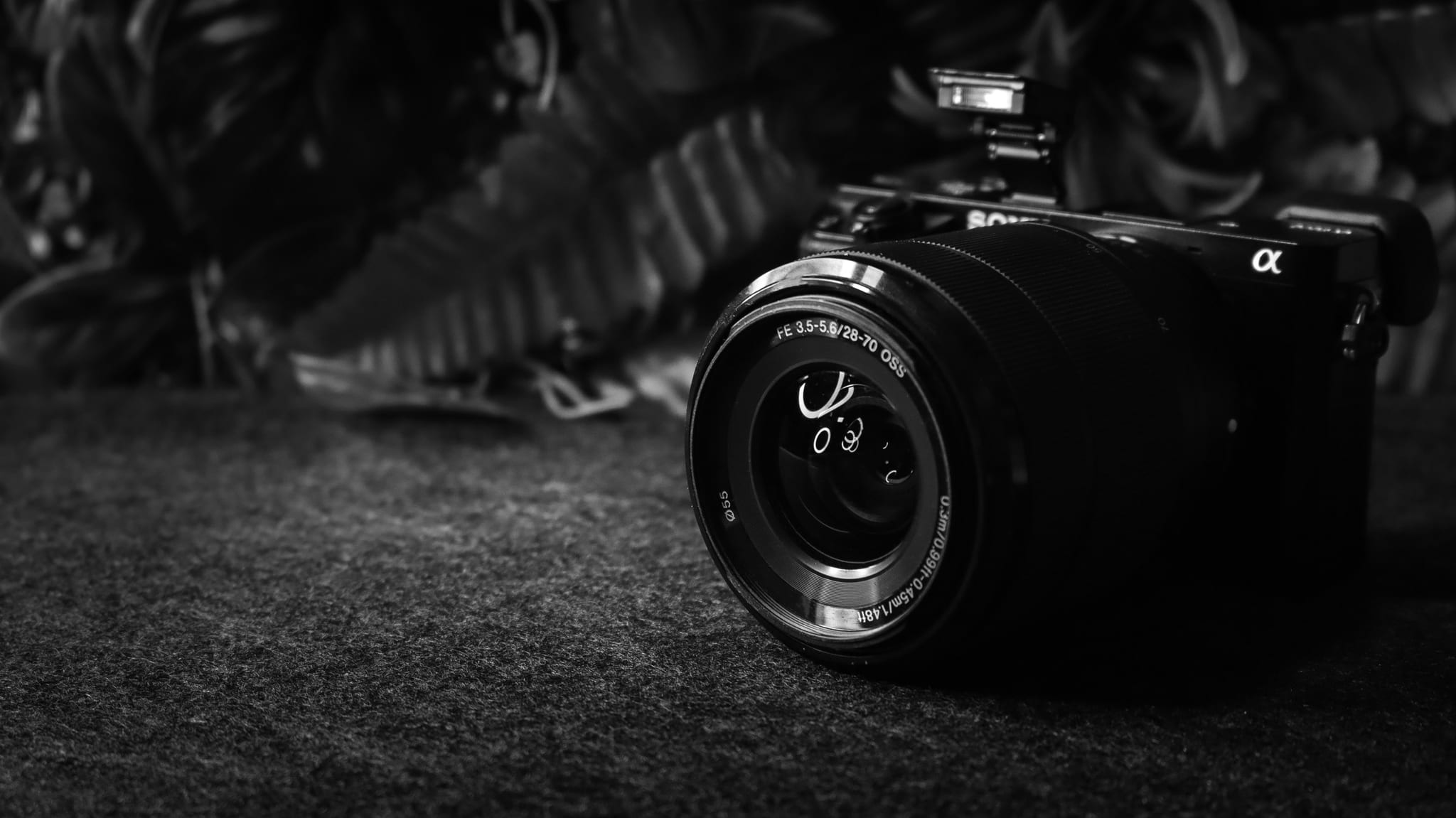Una fotocamera mirrorless con l’obiettivo 28-70 appoggiata su un panno scuro, con le foglie di una pianta sfocate dietro.